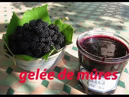 La Cueillette Des Mures De Ronces Ouille Le Long Des Chemins En Fin D Ete En Gelee Avec Les Tartines Du Gouter Ou A Gelee De Mures Gelee Recette Artisanale