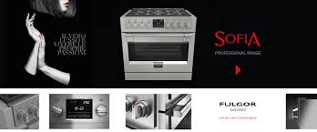 Maybe you would like to learn more about one of these? Homepage Fulgor