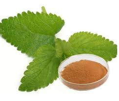 Image result for myNTU