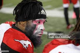 5,507 Tiger Bell Stock Photos, High-Res Pictures, and Images