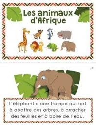 Les Animaux D Afrique Lafeuillemobile Com Animaux Afrique Animaux Africains Afrique
