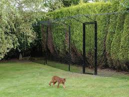 cat enclosures and cat enclosure fencing
