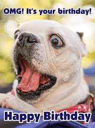 omg it s your brithday happy birthday card funny birthday pictures birthday images funny funny birthday message