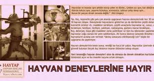 Deney Iskencelerine Dur Demek Icin 2 Mart Ta Kadikoy E Bekliyoruz Hayvan Deneyleri Hayvan Hayvan Haklari Martini