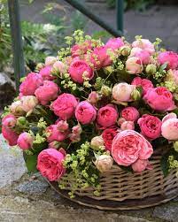 Meine kurzen wünsche sind eine gute sache heute fürs geburtstagskind: Blumen Ippisch Alles Gute Zum Geburtstag Mama Facebook