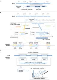 We did not find results for: Frontiers Fast And Accurate Classification Of Meta Genomics Long Reads With Desamba Cell And Developmental Biology