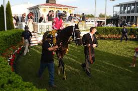 The triple crown continues on saturday at pimlico with the 146th running of the $1 million preakness (g1). Fut 3h D4e M