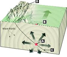 They also are both associated with the location where the earthquake these include the following. Concept 1 Quiz