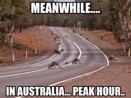 Roads In Australia At Peak Hour Meanwhile In Australia Australia Funny Aussie Memes