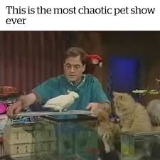 This Is The Most Chaotic Pet Show Ever Classic Funny Meme Pictures Kids Shows Best Funny Pictures
