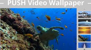 Maybe you would like to learn more about one of these? 7 Wallpaper Hidup Yang Menarik Untuk Desktop Windows Anda Ninna Wiends