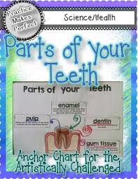 dental health parts of your teeth anchor chart