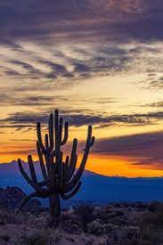 Ben Branson Bbran38428 - Profile Pinterest