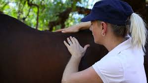 Introducing Dr. Raquel Butler