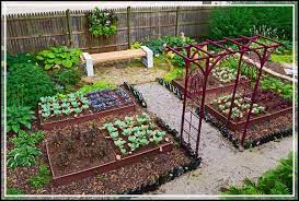 Vegetable Garden Growing A House Garden Might Be Fun And Rewarding Simple Backyard Gardening Garden Layout Vegetable Backyard Vegetable Gardens Home Vegetable Garden