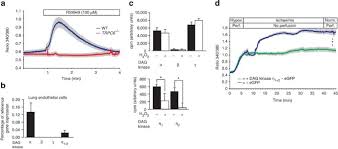 După două creşteri consecutive de preturi, prima de 10%, iar a doua de 15%, un obiect costă 126,5 lei.află prețul. Activation Of Trpc6 Channels Is Essential For Lung Ischaemia Reperfusion Induced Oedema In Mice Nature Communications