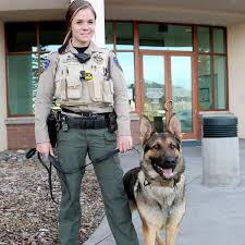 Maybe you would like to learn more about one of these? Fast Tough And He Bites Local Azdailysun Com