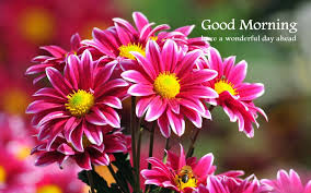 good morning photo के लिए इमेज परिणाम