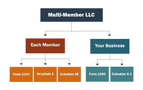 Do yourself a favor and break up the accounting throughout year and let software do most of. Multi Member Llc Taxes Llc Partnership Taxes
