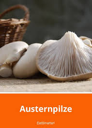 Austernpilze Austernpilze Pilze Austern