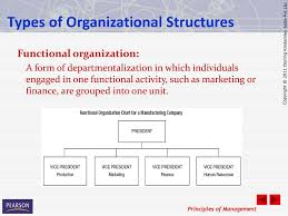 Organization Structure And Process Ppt Download