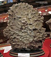 mpod 140724 from tucson meteorites meteorite rocks and fossils iron meteorite