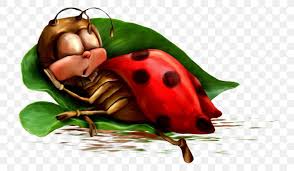 See more ideas about good morning, good morning quotes, good morning greetings. Night Animation Morning Photography Png 750x479px Night Animation Ansichtkaart Day Daytime Download Free