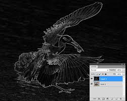 When you change your photo to sepia, sepia photo effect makes your photo look a little more vintage and romantic. Half Sketch Half Photo Morph With Photoshop Tipsquirrel