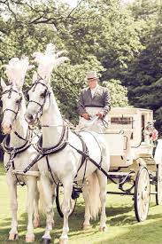 Pin By Lynda Wise Stephenson On Shades Of View Wedding Carriage Horse Wedding Horse And Carriage Wedding