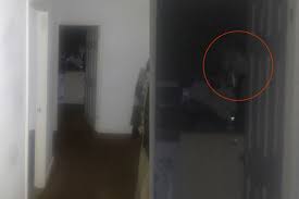 We did not find results for: Misteri Ketukan Pintu Dapur