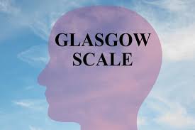 The gcs is the summation of scores for eye, verbal, and motor responses. What Is The Glasgow Coma Scale Rosenberg Gluck Llp