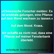 Auf Dem Mond Krass Inspirierende Spruche Witzige Zitate Traurige Spruche