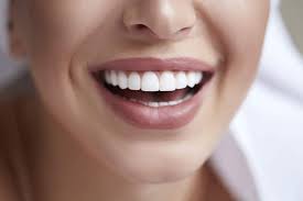 Image result for Dentition