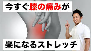 膝の痛み 曲げると痛い 内側側副靱帯炎症