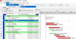 figure 1 primavera p6 gantt chart view projectcubicle