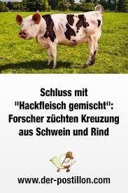 Pin Auf Postillon Lustig Witzig Bild Bilder Spruch Spruche Kram