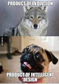 Evolution And Artificial Design Of Dogs Darwin S Ark