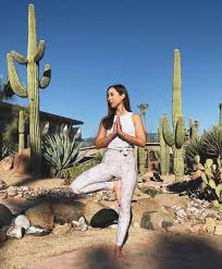 Smook said you can decorate a saguaro or any other type of cactus as long as the plant is located on your own private property. Where To See Saguaro Cactus In Phoenix Hiking Spots Hotels And Attractions