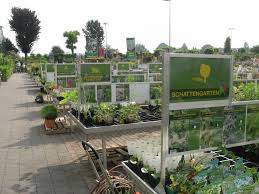 Stauden Und Wasserpflanzenlenders Gartencenter