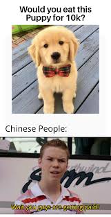 Wait You Guys Are Getting Paid Memes