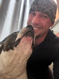 Top picture is a male off Apex and Elvira pictured below him. He is in the  Idaho falls area and 👀 for the females, he has a great pedigree of Apex,  wonderboy,