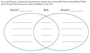 Compare Contrast Comprehend Using Compare Contrast Text