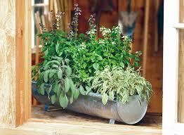 See more ideas about outdoor gardens, herb art, plants. Ideas For Growing Herbs In Pots Garden Gate