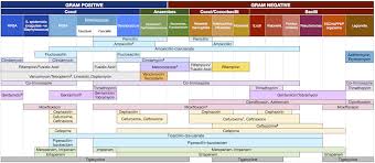 appendix 5 antibiotic overview