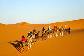 606 likes · 1 talking about this. Marrakech Day Trips Things To Do In Marrakesh Morocco Marrakech Bus M Marrakesh To Atlas Mountains 4 Valleys Day Trip Ourika Valley Atlas Mountain Full Day Tour From Marrakech Day
