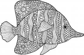 We did not find results for: Goldfish Coloring Page Kidspressmagazine Com