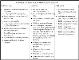 Sel hewan mempunyai perbedaan dengan sel eukariotik lainnya. Jelaskan Pengertian Sel Bakteri Sel Tumbuhan Sel Hewan Sebutkan Perbedaannya Brainly Co Id