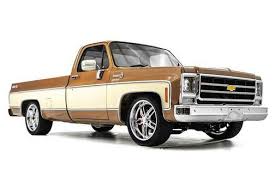 Image result for Brown 1979 Chevy Truck