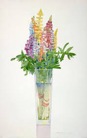 Gary Bukovnik Lupine In A Tall Vase Brilliant Floral Watercolor In Multicolor Serene Floral Watercolor Floral Watercolor