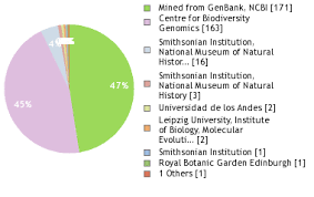 Image result for Chrysophyllum welwitschii